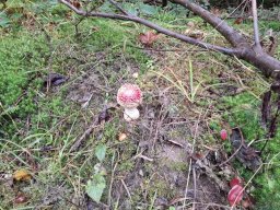 56511540112823989570213837851949253329953677n